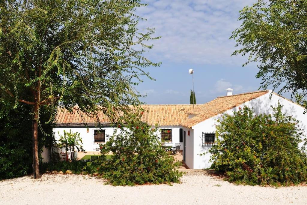 Casa Rural La Linana Кордова Экстерьер фото
