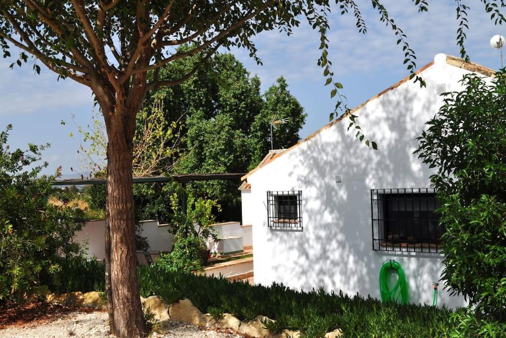 Casa Rural La Linana Кордова Экстерьер фото
